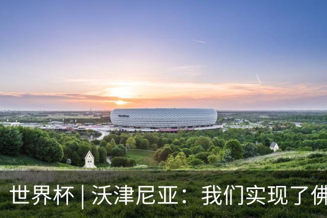 世界杯 | 沃津尼亚：我们实现了佛得角人民的梦想
