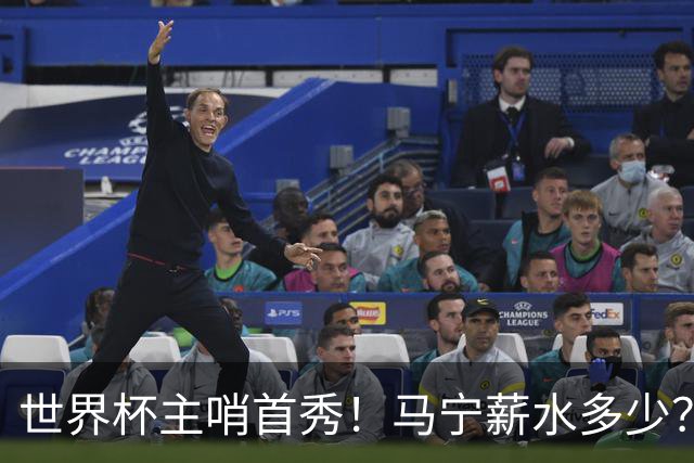 世界杯主哨首秀！马宁薪水多少？主裁判5万美元+单场奖金2000美元