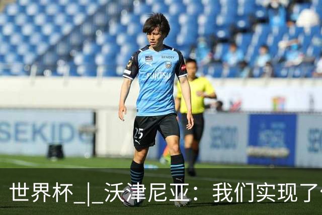 世界杯 | 沃津尼亚：我们实现了佛得角人民的梦想