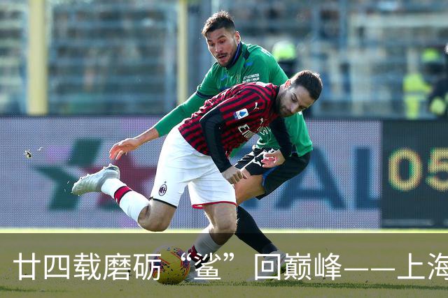 廿四载磨砺“鲨”回巅峰——上海男篮夺冠之路
