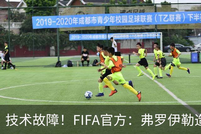 技术故障！FIFA官方：弗罗伊勒造点没有越位 瑞士进球无异议